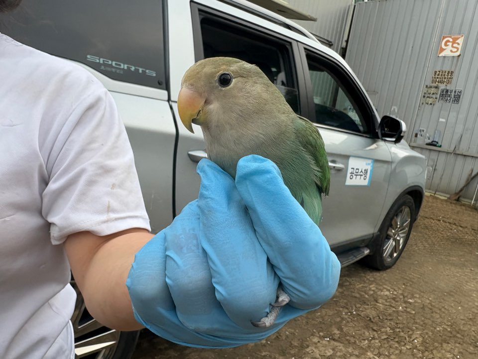 종료(반환) 기타축…